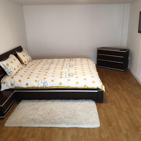 Studio Centrul Istoric Sibiu Διαμέρισμα Εξωτερικό φωτογραφία