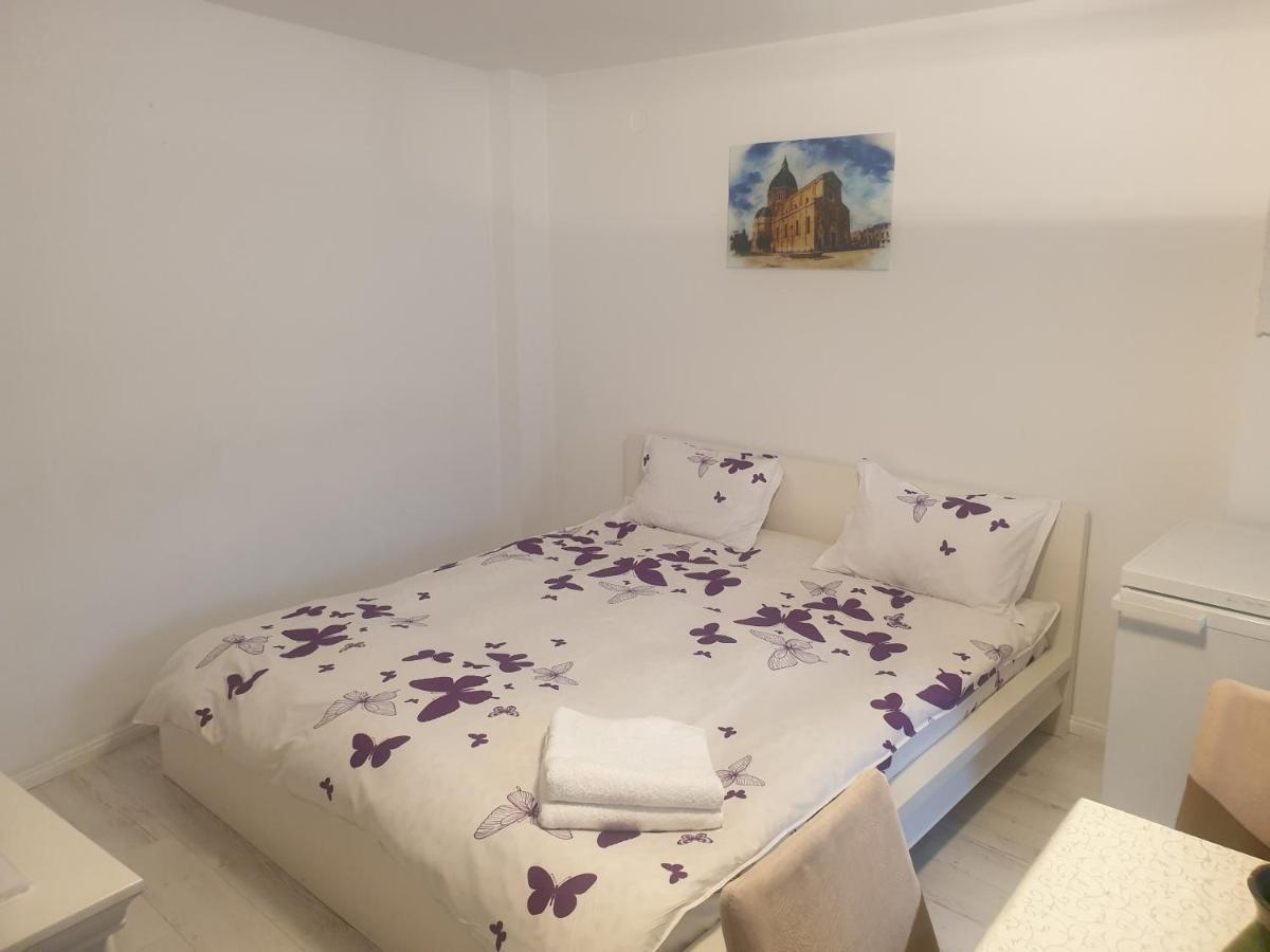 Studio Centrul Istoric Sibiu Διαμέρισμα Εξωτερικό φωτογραφία